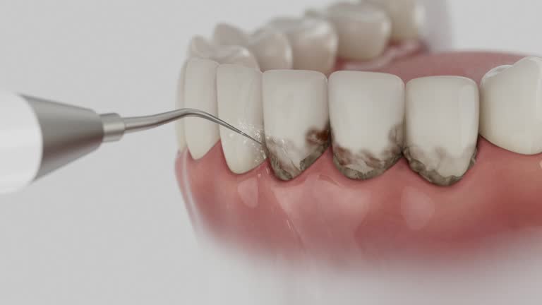 Reliable Dental contractor in Pottsville, AR by Dentist Open Now